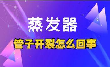 ���l(f��)�������_�ѣ����ǡ��ܲġ��x�e�ǵĵ�